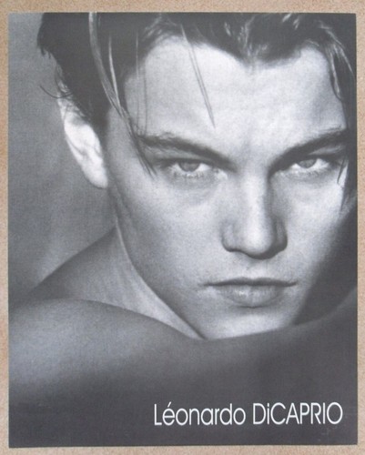 Leonardo caprio mini - di,